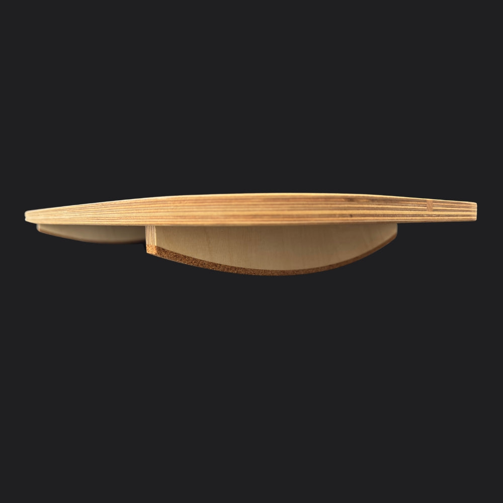 The Motion Rocker Balance Board Wipper