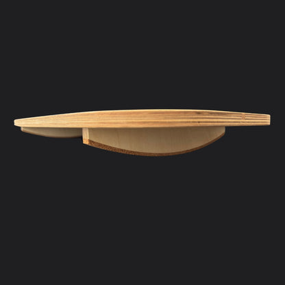 The Motion Rocker Balance Board Wipper